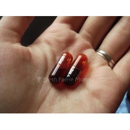 Krill Oil 360 + 30 Capsule, Omega 3, Pentru colesterol rau LDL si trigliceride Nutrisan Krill Oil - Ulei de Krill Omega 3. Ameli