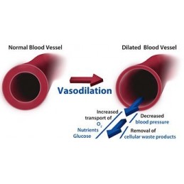 Biovea L-Arginine / L-Citrulline Complex 120 capsule Beneficii L-Arginine / L-Citrulline: se transformă cu ușurință în Oxid Nitr