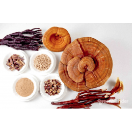 Reishi Ganoderma 240 capsule (reduce oboseala, are proprietati adaptogene, reduce inflamația și acționează ca un antioxidant) Be