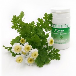 Oemine FEB (Extract musetel) - 60 capsule Beneficii extract de musetel: ajuta in caz de raceli pe timpul iernii, sustine un somn