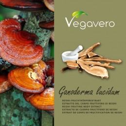 Reishi Ganoderma, 120 Capsule, Reduce oboseala, are proprietati adaptogene, reduce inflamația și acționează ca un antioxidant Be