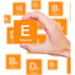 OstroVit Vitamina E naturala - 90 Capsule Beneficii Vitamina E: antioxidant puternic, ajută la formarea de globule roșii, spriji