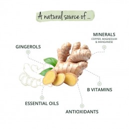 Ghimbir Organic (Ginger Bio) 180 Caps, Reduce balonarea abdominală, stimulează digestia, mențineți tonusul mușchilor intestinali