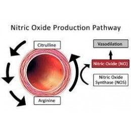 Swanson L-Arginine / L-Citrulline - 60 Capsule Beneficii L-Arginine / L-Citrulline: se transformă cu ușurință în Oxid Nitric, sp