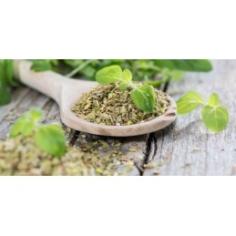 Solgar Ulei Oregano salbatic 175mg 60 Capsule Beneficii ulei de Oregano: ajuta la minimizarea problemelor usoare ale stomacului,