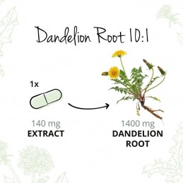 Vegavero Dandelion Root Extract (Papadie) 120 Capsule Beneficii Papadie: contine antioxidanti, poate ajuta la ameliorarea inflam