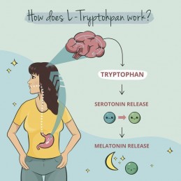 L-Triptofan 500 mg, 120 Capsule, Ajuta in tulburare somn și insomnie, in caz de depresie, anxietate, reduce apetitul Trptofanul 