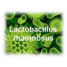 Oemine ECZEBIOPHILUS (Prebiotic si Probiotic) - 60capsule Contine peste 6 miliarde de bacili enterici per capsula. Pentru a cont