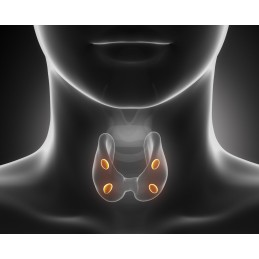 Oemine Iod din alge - 60 capsule Beneficii iod: imbunatateste metabolismul, protectie sigura a glandei tiroidiene, ofera echilib