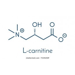 OstroVit L-Carnitina 1000 mg 90 Tablete (Salabire si arderea grasimilor) Beneficii Carnitina: ar putea imbunatati memoria si fun