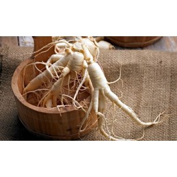 Supliment alimentar Siberian Ginseng 120 Tablete, Ostrovit Beneficii Ginseng: tonic sexual, ajuta disfunctia erectila, creste li