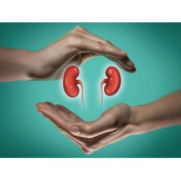 Kidney Support (Suport pentru rinichi) - 60 Capsule Beneficii Kidney Support- imbunatateste sanatatea rinichilor, reduce infecti