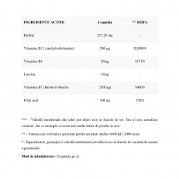 Modulator Forte, 120 Capsule, Ajuta la buna functionare a sistemului nervos, ajuta la mentinerea functiilor psihologice adecvate