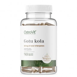 Gotu Kola VEGE, 90 Capsule- Concentrare invatat, somn linistit, claritate ganduri Beneficii OstroVit Gotu Kola VEGE: OstroVit Go