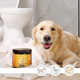 Golden Reliever (Hrana complementara pentru caini) SUPORT DIGESTIV PENTRU PRIETENUL TAU BLANOS


Nota: Produsul este destinat ex