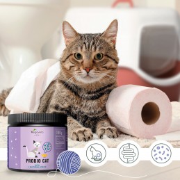 Probio Cat, 180 g (Hrana complementara pentru pisici) O FLORA INTESTINALA ECHILIBRATA PENTRU O PISICA FERICITA
Probio Cat al nos