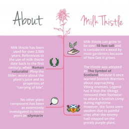 Organic Milk Thistle 470 mg, 120 Capsule (Lapte de ciulin), sustine functia hepatica, protejeaza si reface celulele hepatice Ben