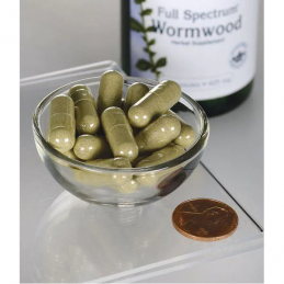 Full Spectrum Wormwood 425mg - 90 capsule (Extract de pelin dulce) BENEFICII EXTRACT DE PELIN DULCE- Complementar in terapiile a