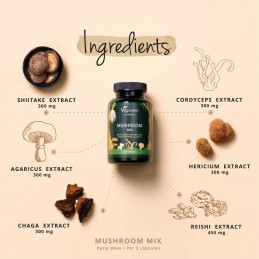 Supliment alimentar Mushroom Mix, 120 Capsule (Mix de ciuperci), Vegavero AMESTEC UNIC DE CIUPERCI
Ciupercile medicinale sunt cu