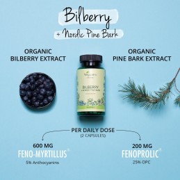 Supliment alimentar Organic Bilberry & Pine Bark, 90 Capsule (Extract de afine si extract de scoarta de pin nordic), Vegavero BE