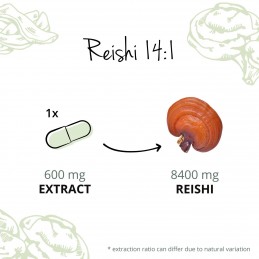 Supliment alimentar Organic Reishi 600 mg, 60 Capsule, Vegavero Beneficii Reishi Ganoderma extract: reduce oboseala, are proprie