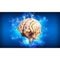 Suplimente alimentare pentru ameliorarea Parkinson-ului