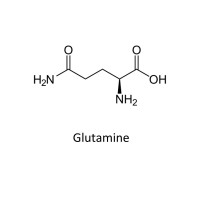 Glutamina